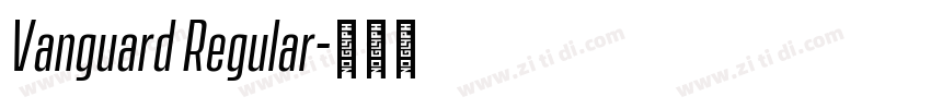Vanguard Regular字体转换